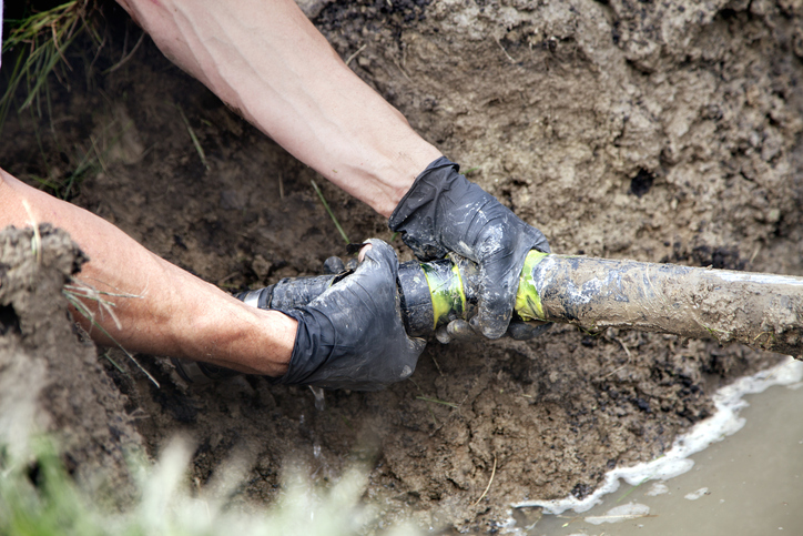 Sydney plumber with bookkeeping support managing business finances